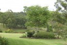 Tamala Parkresidential-landscaping-40.jpg; ?>